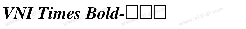 VNI Times Bold字体转换
